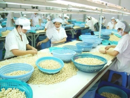 Hàng nông sản xuất khẩu sang Nhật tăng mạnh