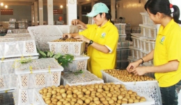 Xuất khẩu nông sản Việt: Cần tầm nhìn dài hạn