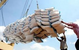 Cầu thế giới giảm khiến giá gạo Thái Lan rớt giá thảm hại