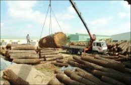 Việt Nam xuất khẩu gỗ sang thị trường Trung Đông