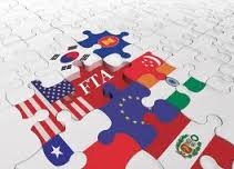 Quá trình Việt Nam tham gia và ký kết các FTA khu vực và song phương
