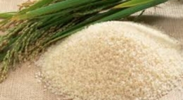 Việt Nam xuất khẩu gạo với giá thấp nhất trên thị trường gạo thế giới