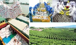 Xuất khẩu nông, lâm, thủy sản vượt mốc 25 tỷ USD