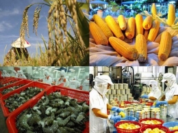 Xuất khẩu nông, thủy sản đạt 20,22 tỷ USD