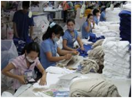 Quy tắc xuất xứ: Doanh nghiệp cần tuân thủ để hưởng lợi khi tham gia TPP