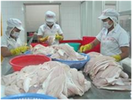 Thủy sản Việt Nam lại bị cảnh báo ở châu Âu