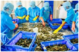 Xuất khẩu sang ASEAN và Nhật Bản sụt giảm