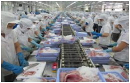 EU cảnh báo loại cơ sở xuất khẩu thủy sản có kháng sinh cấm