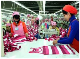 Doanh nghiệp chịu thiệt vì yếu về phòng vệ thương mại