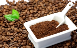 Xuất khẩu sang Anh: Nhu cầu lớn nhưng vẫn không bán được
