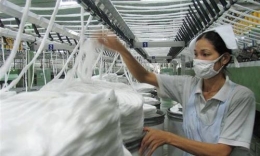 Bông sợi nhập khẩu từ Châu Phi có nguy cơ nhiễm dịch