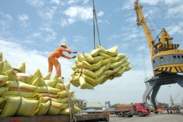 Xuất khẩu gạo sang châu Âu: Quan trọng là gạo phải ngon