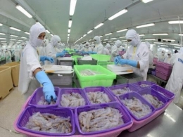 Xuất khẩu tôm sang Hoa Kỳ gặp khó sau phán quyết POR10