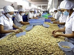 Việt Nam xuất siêu sang Ấn Độ nhiều mặt hàng có lợi thế