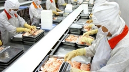 Xuất khẩu thủy sản 2015 có thể đạt trên 8 tỷ USD