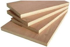Thép Việt lại bị kiện