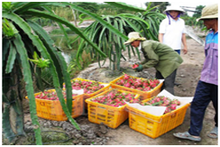 Bộ Thương mại Hoa Kỳ ra kết luận sơ bộ đợt rà soát hành chính thuế chống bán phá giá đối với sản phẩm ống thép dẫn dầu (OCTG) từ Việt Nam.