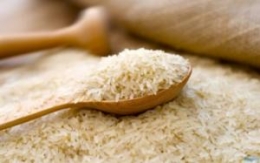 Gạo tám thơm, gạo IR64 đặc sản Điện Biên