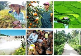 Ngành nông nghiệp năm 2014 "thắng đậm"