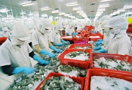 Xuất khẩu thủy sản tìm cách vượt rào cản phi thuế quan