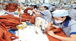 Xuất khẩu sang EU: Thách thức từ rào cản phi thuế quan