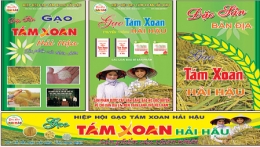 Về Hải Hậu ăn gạo tám xoan