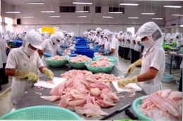 Còn nhiều rào cản cho phát triển thương mại điện tử