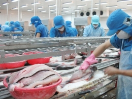 Xuất khẩu cá tra sang Mỹ và Nga đều giảm
