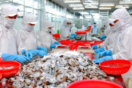Áo- thị trường tiềm năng cho hàng xuất khẩu Việt Nam