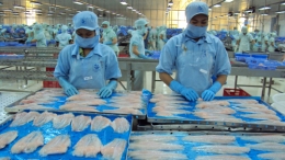 Xuất khẩu cá tra sang thị trường Brazil tăng mạnh