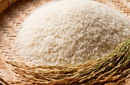 Sản xuất lúa gạo tại khu vực Châu Phi tăng nhanh hơn nhu cầu sử dụng