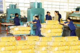 Tình hình và triển vọng sản lượng và xuất khẩu cao su Việt Nam