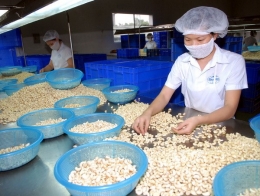 Xuất khẩu hạt điều sang các thị trường tăng trưởng mạnh