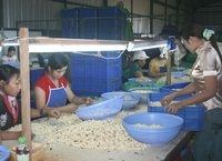Nhiều cơ hội xuất khẩu sang Đức