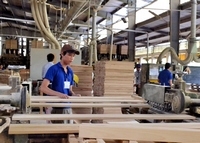 Xuất khẩu gỗ và sản phẩm tăng trong 7 tháng 2014