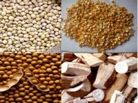 Nhập khẩu một số mặt hàng nông nghiệp chính tăng 17%