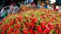 Xuất khẩu nông sản đối diện và vượt qua khó khăn