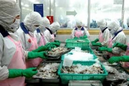 Châu Âu sẽ hỗ trợ kiểm soát chất lượng thủy sản