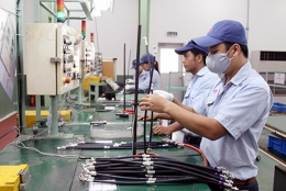 Việt Nam - Romania: Thúc đẩy hợp tác đa lĩnh vực