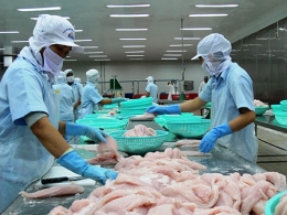 Cá tra xuất khẩu sang Thái Lan tăng mạnh