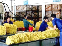 Xuất khẩu cao su 7 tháng giảm 33,5% về kim ngạch