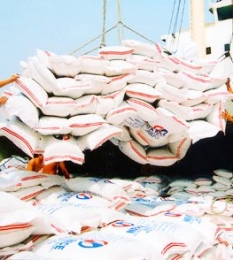 Gạo phẩm cấp cao xuất khẩu tăng