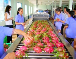Rau quả xuất khẩu sang các thị trường 7 tháng đầu năm 2014