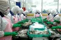 Nguyên liệu thuỷ sản nhập khẩu tăng mạnh