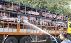 Xuất khẩu một số mặt hàng vào Trung Quốc sẽ gặp khó!