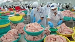 Xuất khẩu gạo tăng gấp đôi và thủy sản lấy được đà tăng trưởng