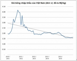 Ngành bông Việt Nam niên vụ 2015/16 và một số dự báo (phần 3)