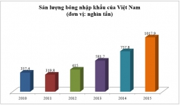 Ngành bông Việt Nam niên vụ 2015/16 và một số dự báo (phần 2)