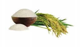 Xuất khẩu gạo gặp khó