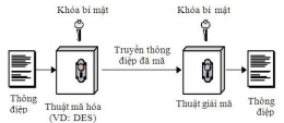 Rủi ro & Biện pháp phòng tránh rủi ro trong thương mại điện tử